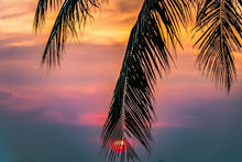 Load image into Gallery viewer, Pink Sugar Melon Type